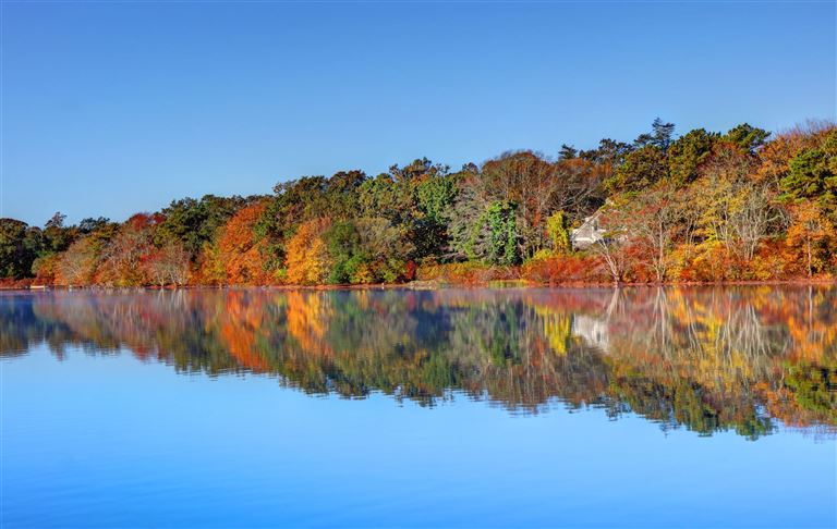 Farbenpracht des Indian Summer  ©DenisTangneyJr/istock